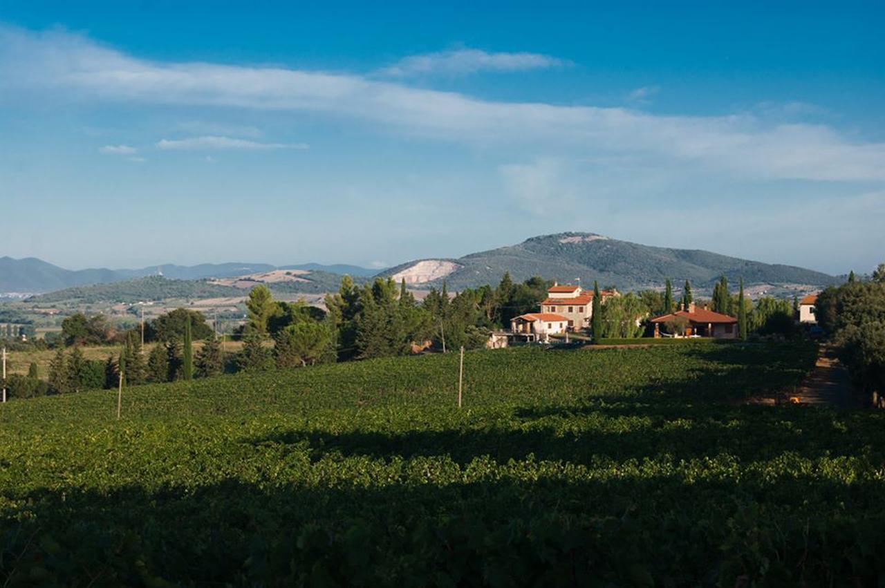 Istia dʼOmbrone Agriturismo Diaccialone 빌라 외부 사진