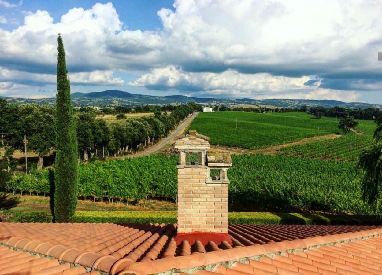 Istia dʼOmbrone Agriturismo Diaccialone 빌라 외부 사진